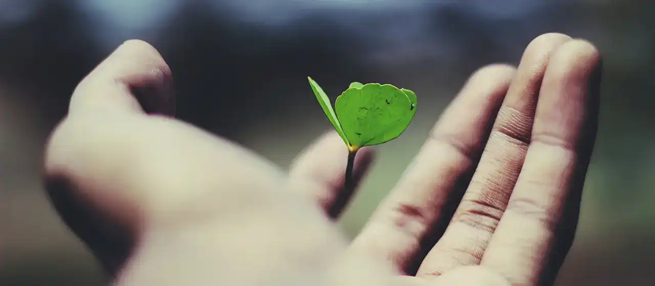 An open hand, held by a man, with a green leaf sprouting from it.